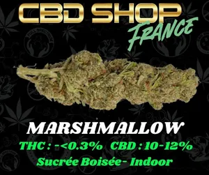 Marshmallow