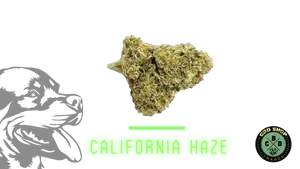 California