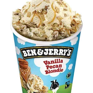 Ben & Jerry's 465 ml Vanille Pecan Blondie