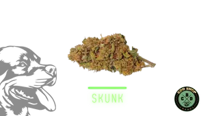 Iron skunk
